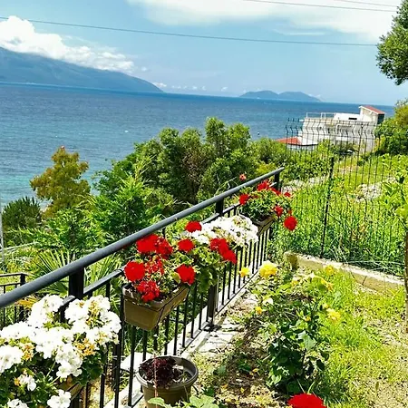 公寓 Rezidenca Oliva Vlorë