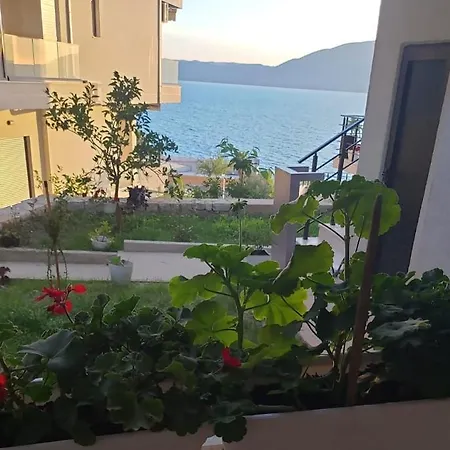 Rezidenca Oliva Апартаменты *