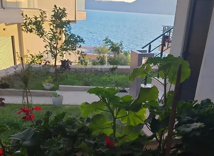 Rezidenca Oliva Appartamento *